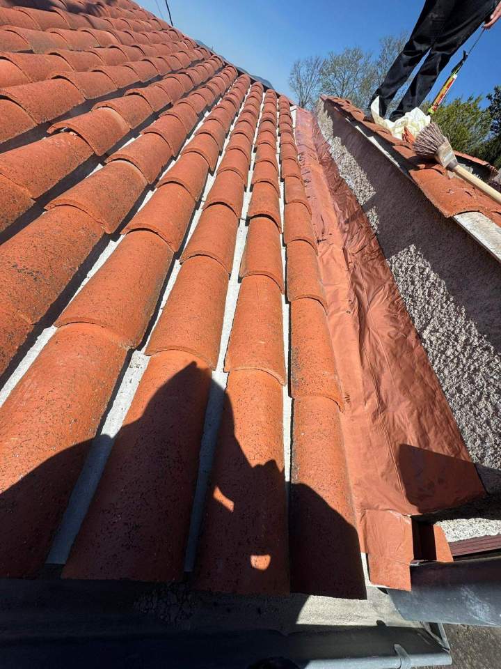 PHOTO 2026 03 03 16 42 3215